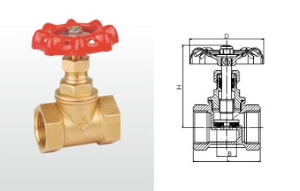 66moŹʻֹֹͭطṹͼ